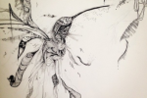 полет калибри