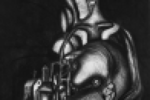 Сострадание