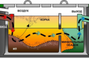 Работа 2002717