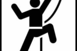 VST Service - ВЫСОТНЫЕ РАБОТЫ (Арбористика)