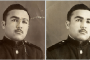 Работа 3110562