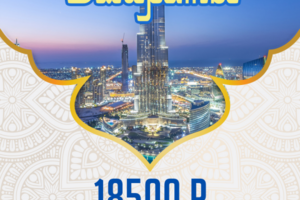Работа 3307931