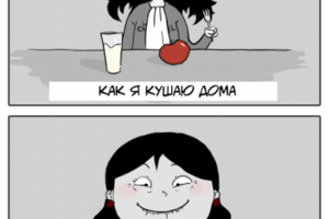 Работа 3311950
