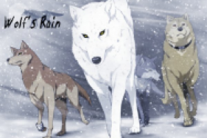 Волчий дождь