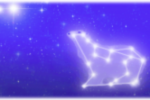 Димка и Большая медведица (сказка)