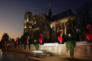 Лабутены наступают