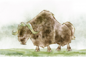 персонаж фильма