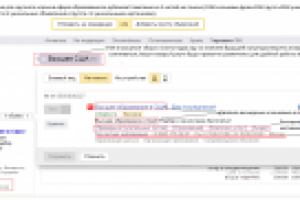 РК в Директе для крупной компании в сфере образования за рубежом