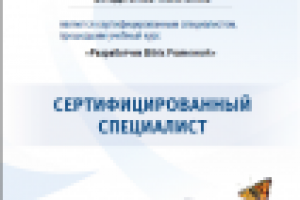 Сертификат Разработчик Btirtix Framework