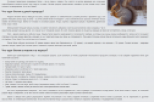 Что едят белки