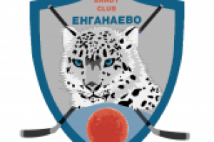 Работа 2175086