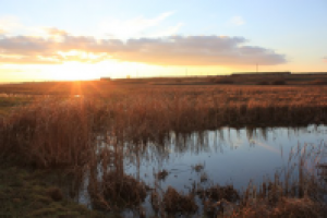 Работа 1888208