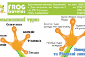 Макет визитки туристического агентства Frog Traveler