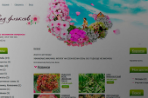 Интернет-магазин «Сад Флоксов»