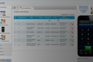 CRM-система «Колокота»