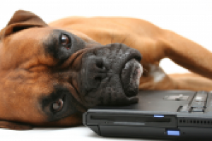 Аудиоролик магазина "Компьютер"