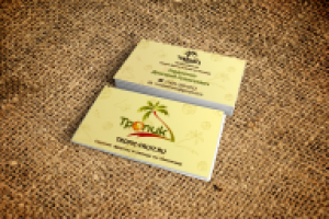 Визитка Тропик