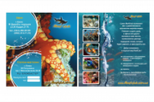 Евро буклет Риф клуб