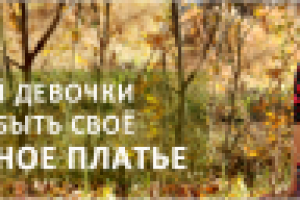 Баннер для сайта Холли Долли