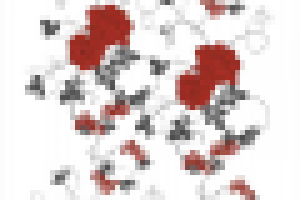 Векторная отрисовка Розы