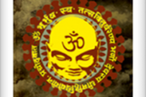 Векторная отрисовка ОМ