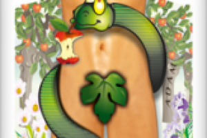 Векторная отрисовка Адам