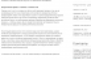 ЖЕЛТЫЙ ЧАЙ — КОРОЛЬ ОРАНЖЕВОГО ЛЕТА