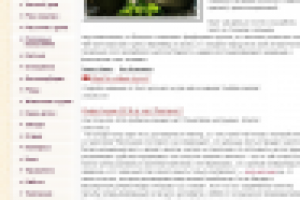 Сито для чая — непременный участник чайной церемонии