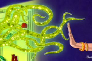 К статье "Как избавиться от неприятного запаха в холодильнике"