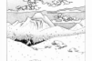 Тигр в снегу