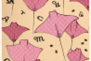 "Миграция у южных берегов книжной полки"