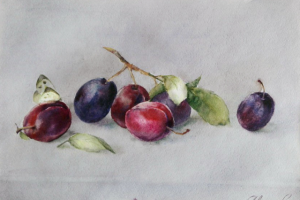 Работа 3282051