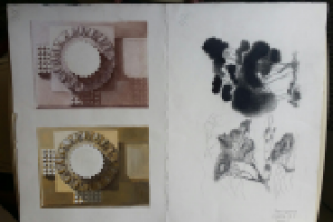 Рисунки ордера и зарисовки деревьев