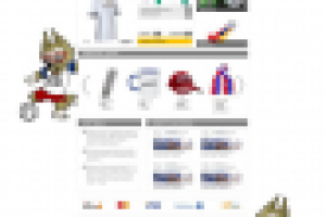 Спортивные товары (интернет-магазин)