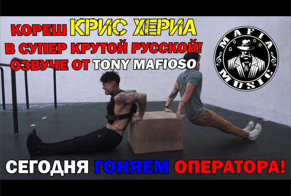 img3153791.png