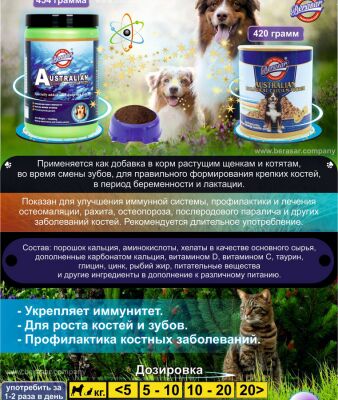 img3157343.png