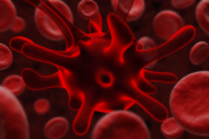 Бактерия-вирус