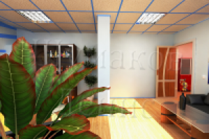 Офис для директора компании 7