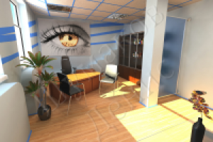 Офис для директора компании 4