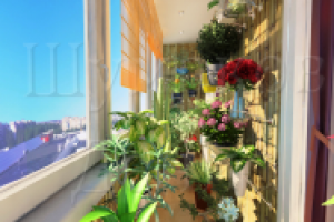 Лоджия зимний сад 3