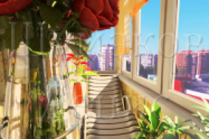 Лоджия зимний сад