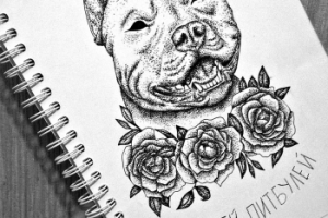 Эскиз тату питбуль