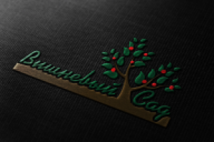 Логотип для базы отдыха