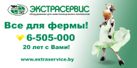 Дизайн бигборда