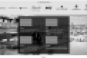 Разработка дизайна сайта консьерж услуг