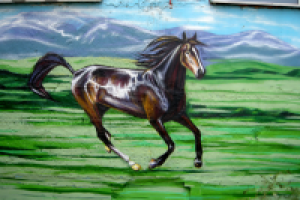 Граффити "Лошадь"