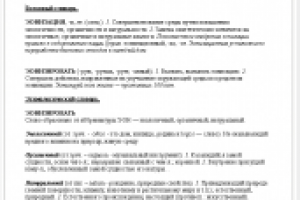 Статья для толкового и этимологического словаря