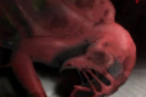 Работа 2812795