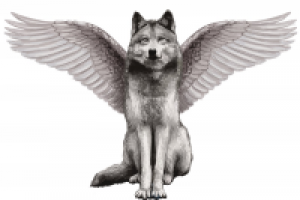 Работа 2812792