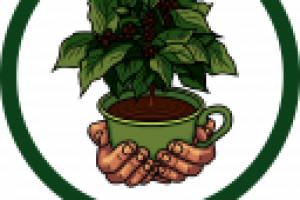 Работа 2512804